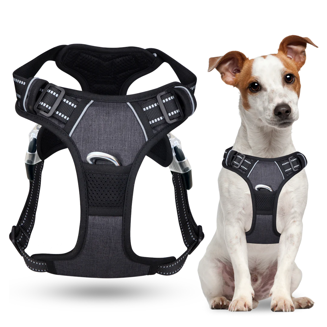 Harnais anti-traction pour chien