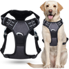 Harnais anti-traction pour chien