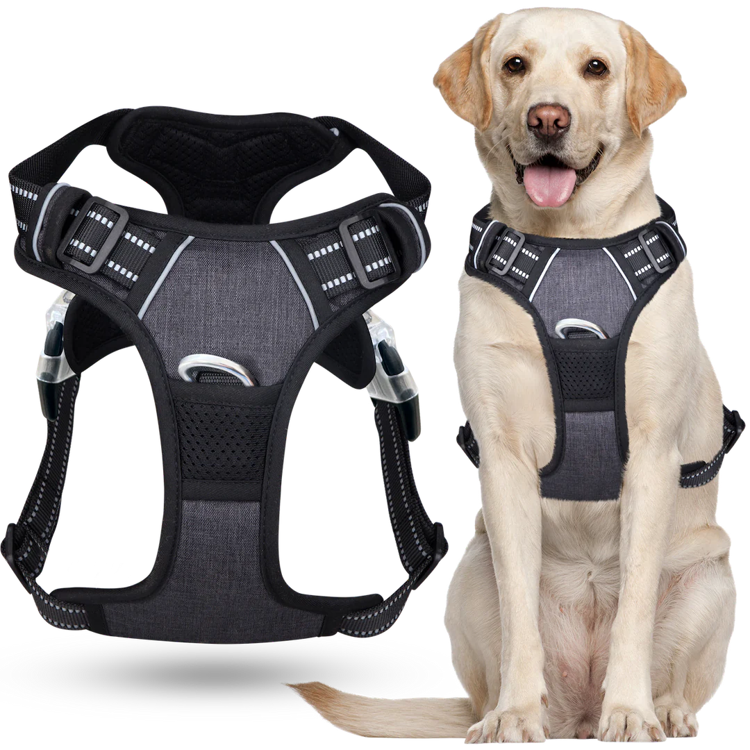 Harnais anti-traction pour chien
