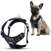 Harnais anti-traction pour chien