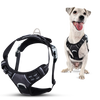 Harnais anti-traction pour chien