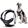 Harnais anti-traction pour chien
