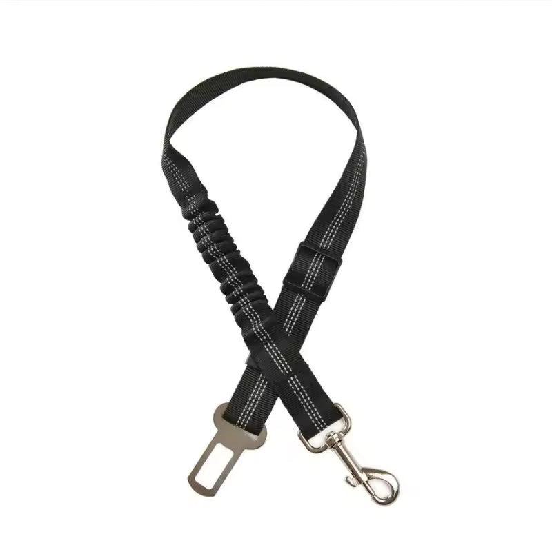 Ceinture de sécurité Zappur pour chien – notre best-seller