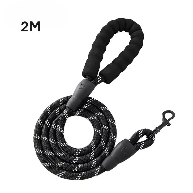 Laisse de sécurité réfléchissante pour chien – design durable et visibilité optimale